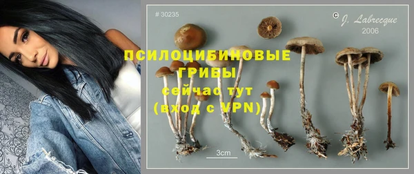 эйфоретик Краснослободск