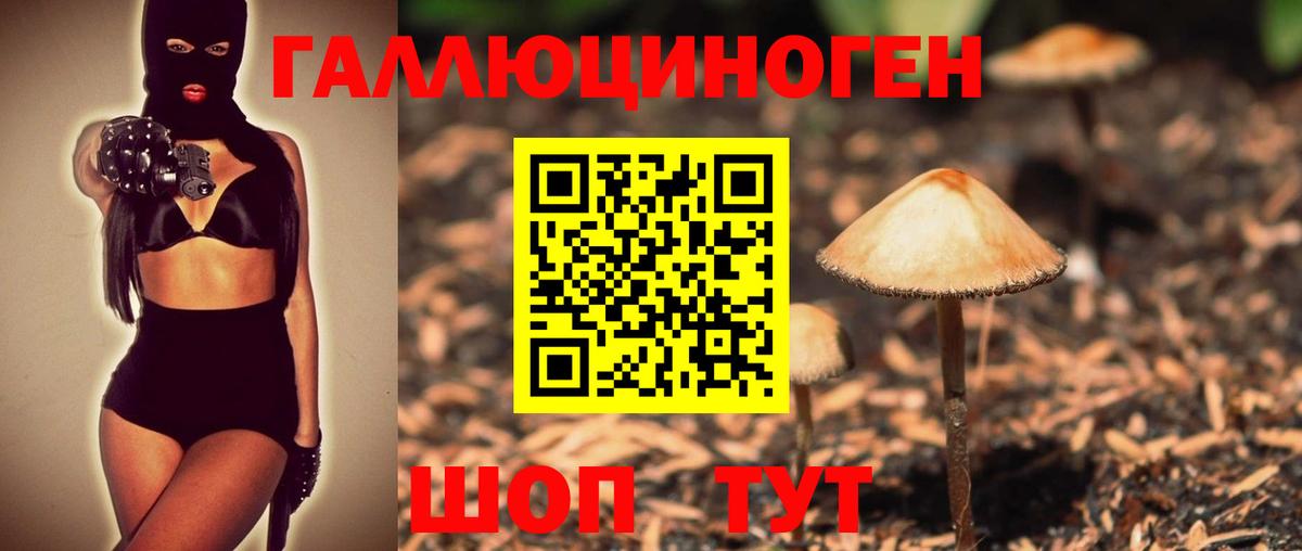 Псилоцибиновые грибы MAGIC MUSHROOMS Елец